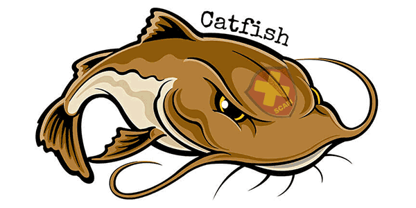 Catfish Scam