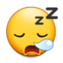 zzz-snot.png