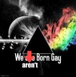 We Aren't Born Gay.jpg