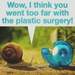 IMG_8723.jpeg
