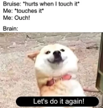 1759498295735.png