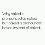 IMG_1083.jpeg