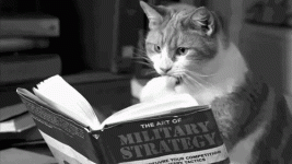 37818435fe75b9f0380c.gif