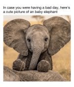 IMG_2856.jpeg