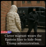 1784898045836.png