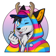 gayhayhay