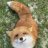 SleepyFoxKit